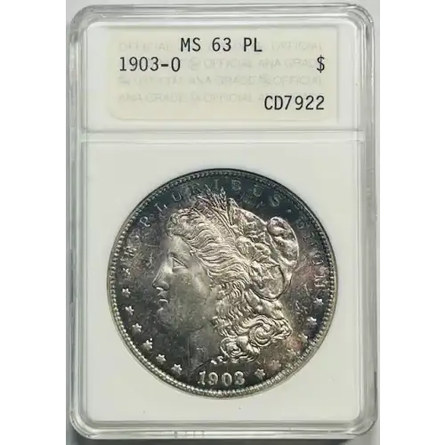 Morgan Silver Dollar