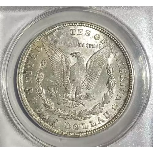Morgan Silver Dollar (2)