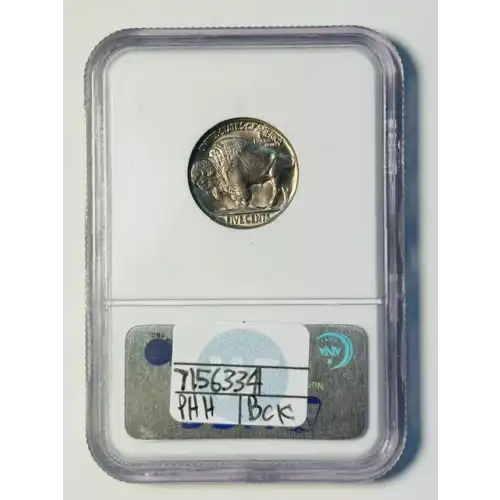 Nickel Five Cent Pieces-Indian Head or Buffalo (2)