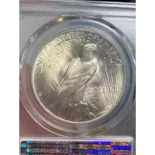 Peace Silver Dollar (4)