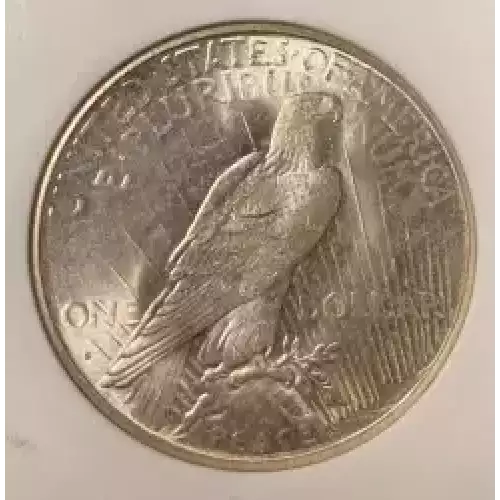 Peace Silver Dollar (6)