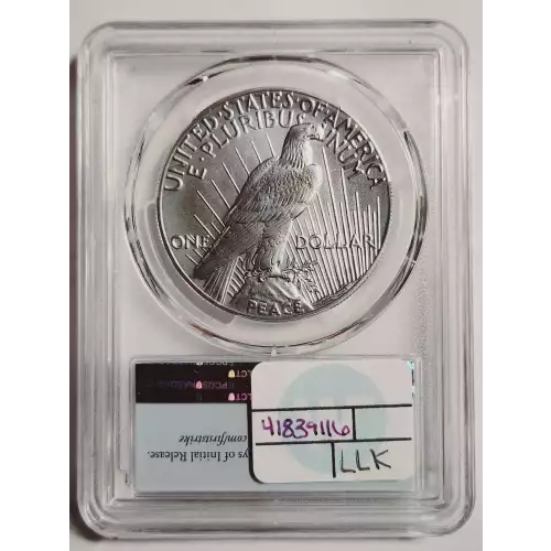 Peace Silver Dollar