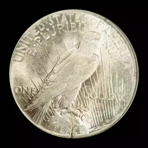 Peace Silver Dollar (3)