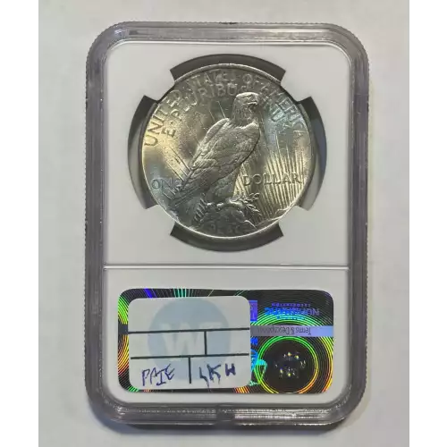 Peace Silver Dollar (2)