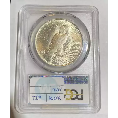 Peace Silver Dollar