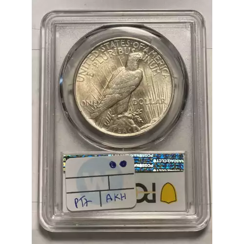 Peace Silver Dollar