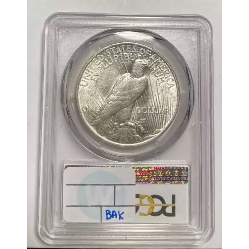 Peace Silver Dollar