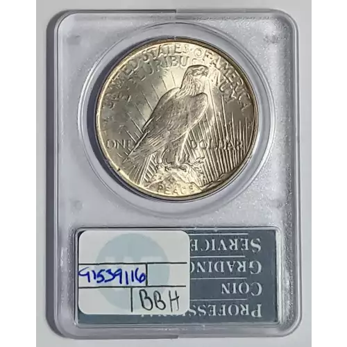 Peace Silver Dollar (2)