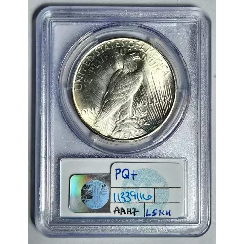Peace Silver Dollar