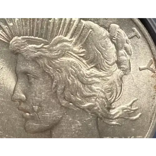 Peace Silver Dollar (4)