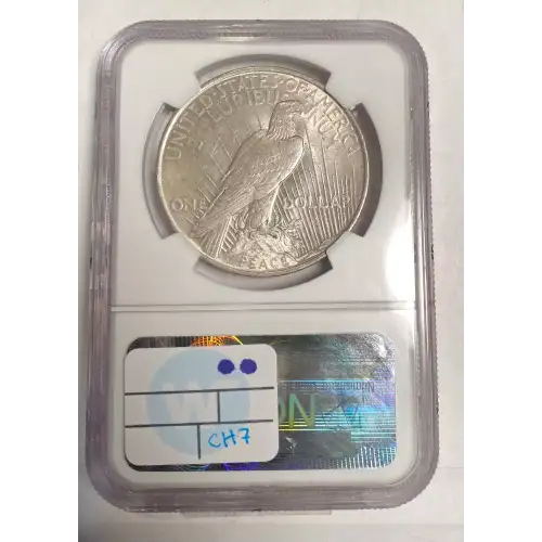 Peace Silver Dollar (2)