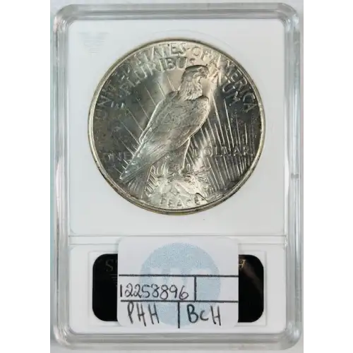 Peace Silver Dollar