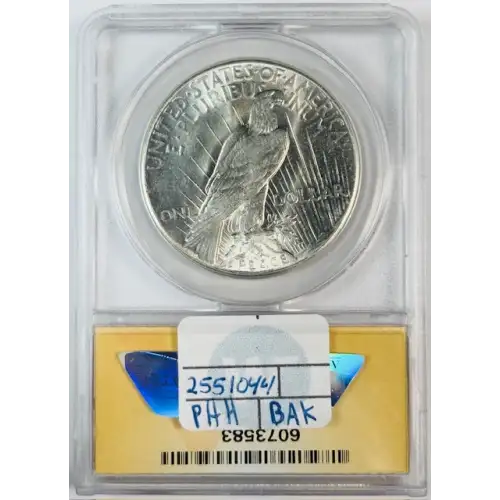 Peace Silver Dollar