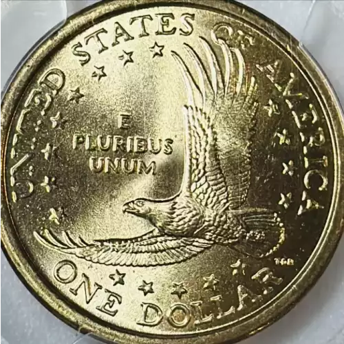 Sacagawea 2000-2017 - Brass Dollar (4)