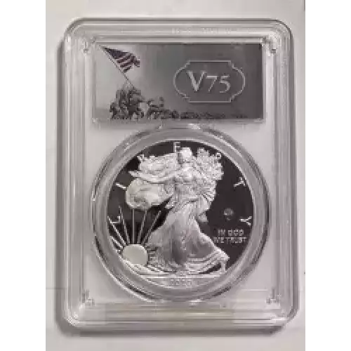 Silver Eagles (2)