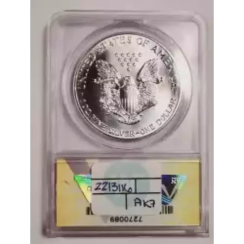 Silver Eagles
