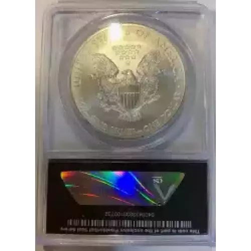 Silver Eagles (3)