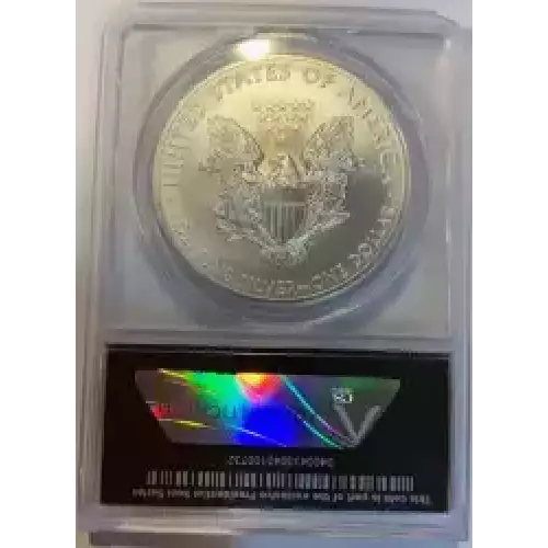 Silver Eagles (5)