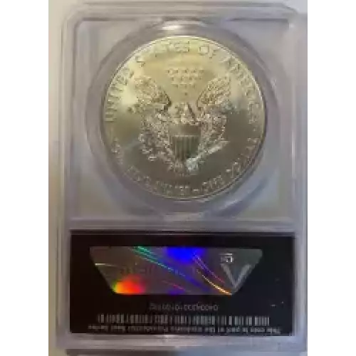 Silver Eagles (6)