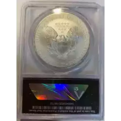Silver Eagles (8)