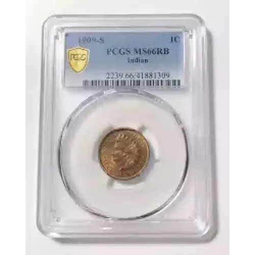 Small Cents-Indian Head 1859-1909 -Copper