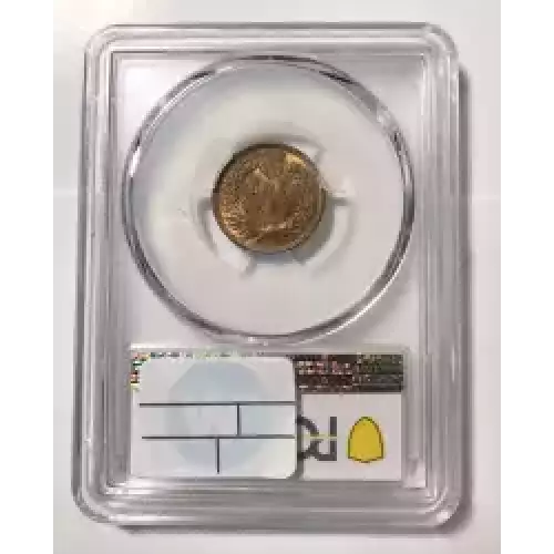 Small Cents-Indian Head 1859-1909 -Copper (2)