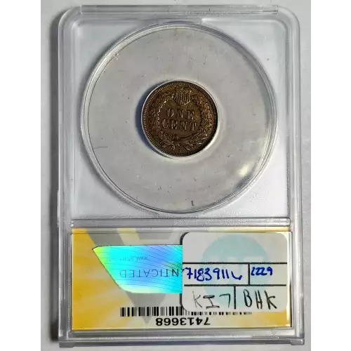 Small Cents-Indian Head 1859-1909 -Copper