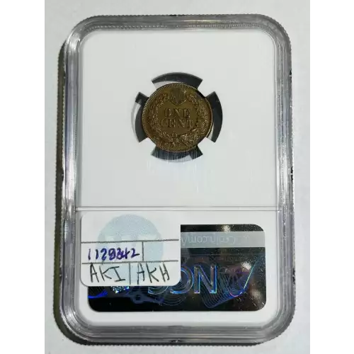 Small Cents-Indian Head 1859-1909 -Copper