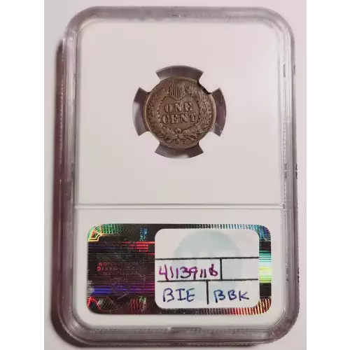 Small Cents-Indian Head 1859-1909 -Copper