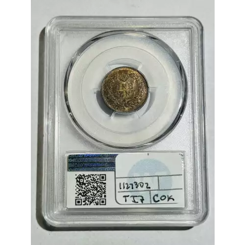 Small Cents-Indian Head 1859-1909 -Copper