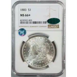 Morgan Silver Dollar