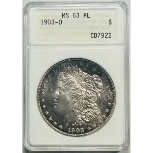 Morgan Silver Dollar