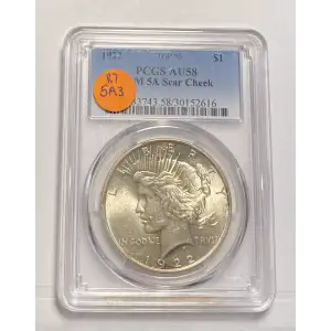 Peace Silver Dollar (2)